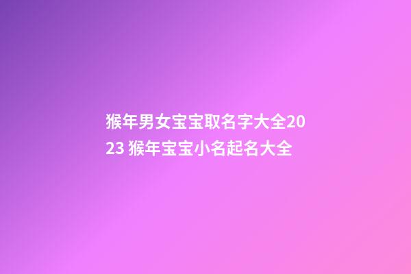 猴年男女宝宝取名字大全2023 猴年宝宝小名起名大全